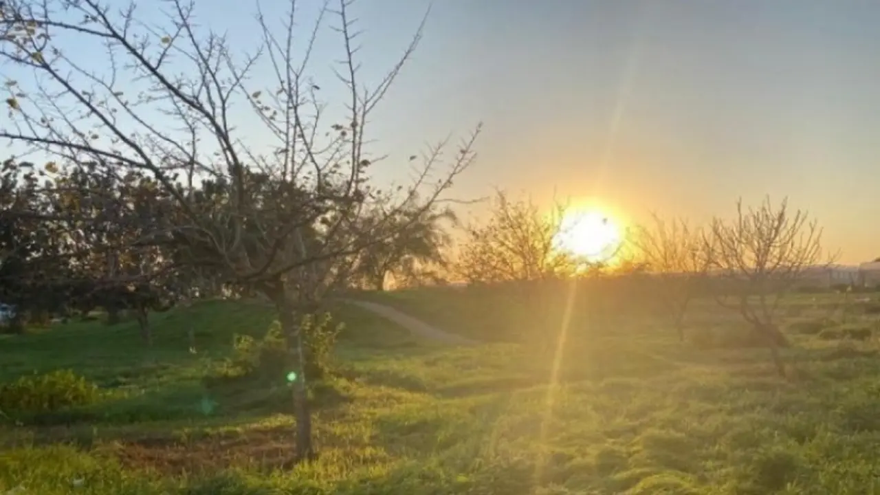 توقعات بطقس بارد مع ارتفاع طفيف في درجات الحرارة خلال الساعات القادمة